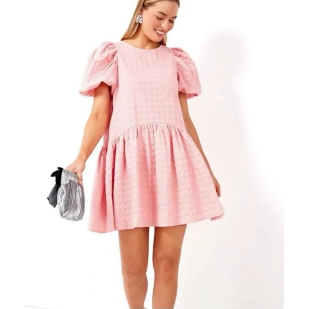 NWT Tuckernuck English Factory Penelope mini dress, XS